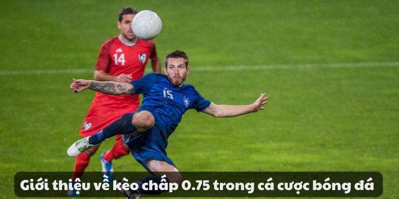 Kèo chấp 0.75 là gì? Cách đọc kèo và kinh nghiệm đặt cược 2 image 101