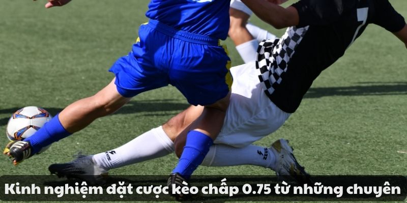 Kèo chấp 0.75 là gì? Cách đọc kèo và kinh nghiệm đặt cược 4 image 103