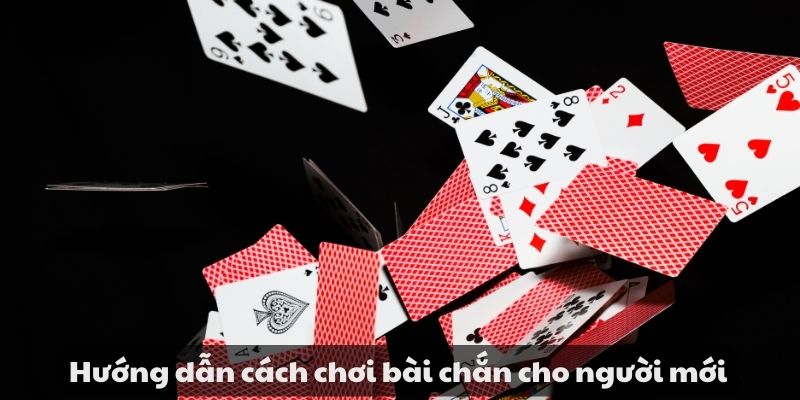 Hướng dẫn cách chơi bài chắn cho tân thủ cực hay mới nhất 3 Hướng dẫn cách chơi bài chắn cho người mới