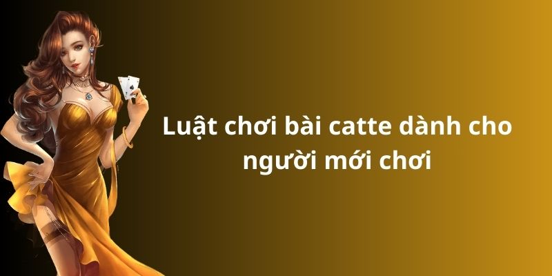Cách chơi bài catte: Hướng dẫn từ A đến Z cho người mới 3 Luật chơi bài catte dành cho người mới chơi