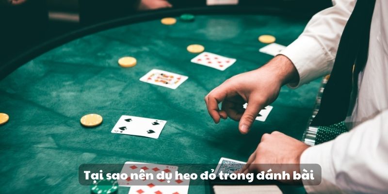 99 Cách dụ heo đỏ để chặt - Bí quyết hiệu quả và an toàn 2 Tại sao nên dụ heo đỏ trong đánh bài