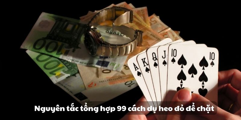 99 Cách dụ heo đỏ để chặt - Bí quyết hiệu quả và an toàn 3 Nguyên tắc tổng hợp 99 cách dụ heo đỏ để chặt