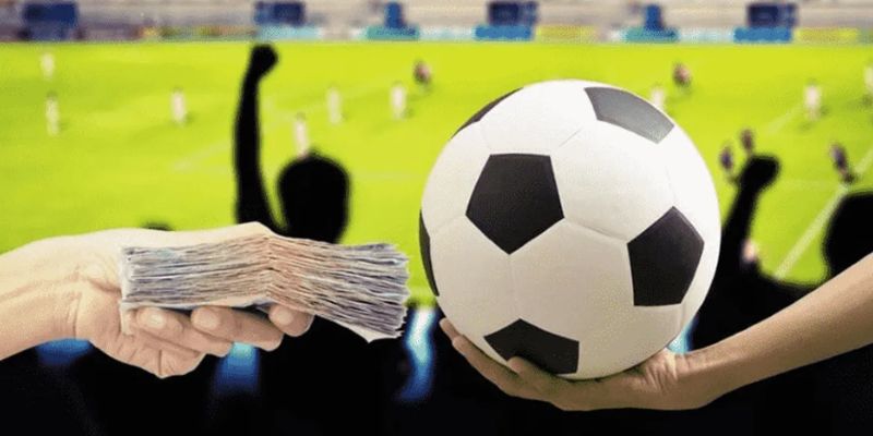 Cách chơi cá độ bóng đá không thua: Mẹo hay từ chuyên gia 4 image 19